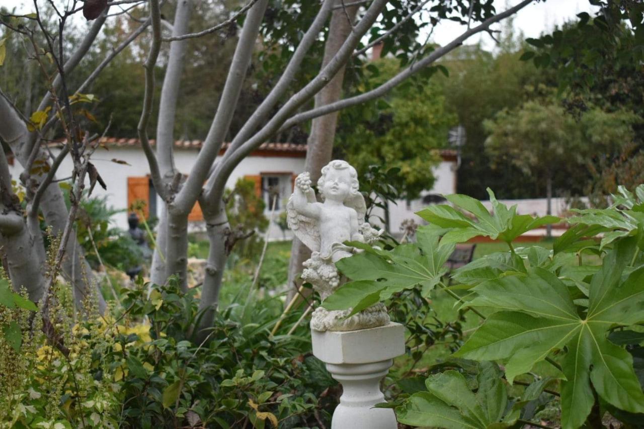 L'Oranger - Magnifique Studio Independant Sur Mougins Avec Jacuzzi Prive - Parking - Climatisation Ngoại thất bức ảnh